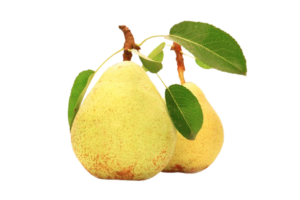 Zigarrenbrand Williams Birne (holzfassgereift) *) ***)